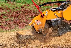 Best Tree and Shrub Care  in Waynesboro, MS